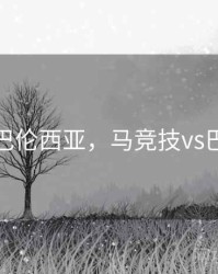 马竞vs巴伦西亚，马竞技vs巴伦西亚