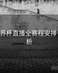 B体育世界杯直播全赛程安排｜趋势分析
