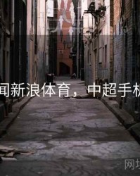中超新闻新浪体育，中超手机新浪网