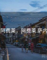 阿费莱，阿费莱 萨内