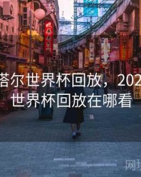 2022卡塔尔世界杯回放，2022卡塔尔世界杯回放在哪看