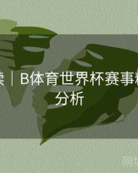 数据解读｜B体育世界杯赛事精彩数据分析