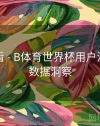 新手必看 - B体育世界杯用户活跃行为数据洞察