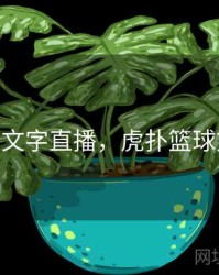 nba虎扑文字直播，虎扑篮球文字直播