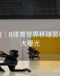 互动指南｜B体育世界杯球员表现数据大曝光