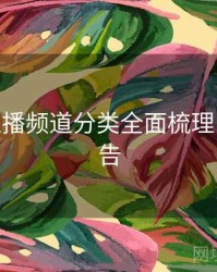 B体育直播频道分类全面梳理 - 官方公告