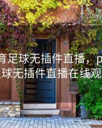 pptv体育足球无插件直播，pptv体育足球无插件直播在线观看