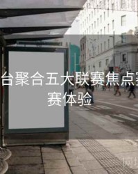 B体育平台聚合五大联赛焦点赛事｜观赛体验