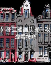 B体育世界杯直播画质提升攻略 - 高清观看技巧