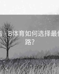 官方公告 - B体育如何选择最佳观看线路？