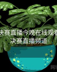 乒乓球决赛直播今晚在线观看，乒乓决赛直播频道