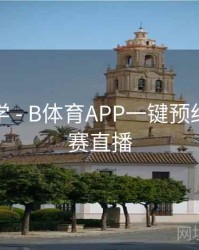 玩法教学 - B体育APP一键预约五大联赛直播