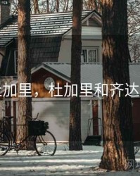 杜加里，杜加里和齐达内