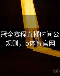 B体育欧冠全赛程直播时间公布 - 积分规则，b体育官网