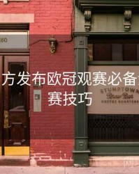 B体育官方发布欧冠观赛必备清单 - 观赛技巧