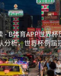 数据解读 - B体育APP世界杯历届冠军球队分析，世界杯例届冠军