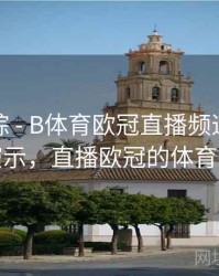 热点追踪 - B体育欧冠直播频道切换方法演示，直播欧冠的体育频道