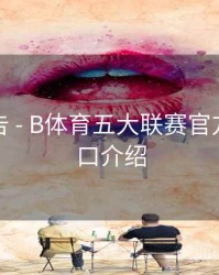 统计报告 - B体育五大联赛官方数据接口介绍