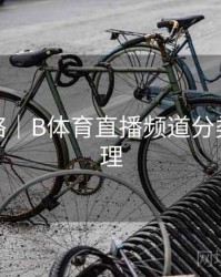 使用攻略｜B体育直播频道分类全面梳理
