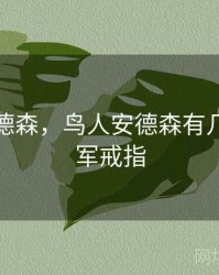 鸟人安德森，鸟人安德森有几个总冠军戒指