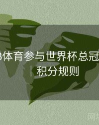 如何在B体育参与世界杯总冠军预测？｜积分规则