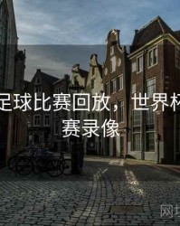 世界杯足球比赛回放，世界杯足球比赛录像