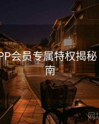 B体育APP会员专属特权揭秘 - 直播指南
