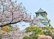 玩法教学｜B体育平台聚合五大联赛焦点赛事