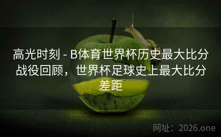 高光时刻 - B体育世界杯历史最大比分战役回顾，世界杯足球史上最大比分差距