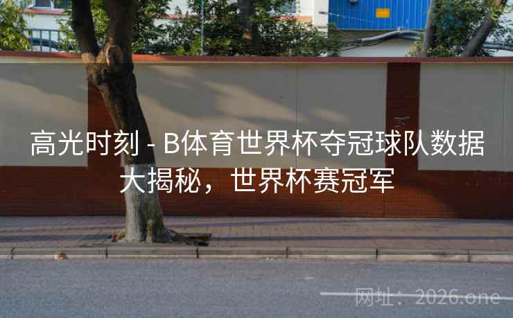 高光时刻 - B体育世界杯夺冠球队数据大揭秘，世界杯赛冠军