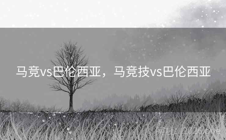 马竞vs巴伦西亚，马竞技vs巴伦西亚