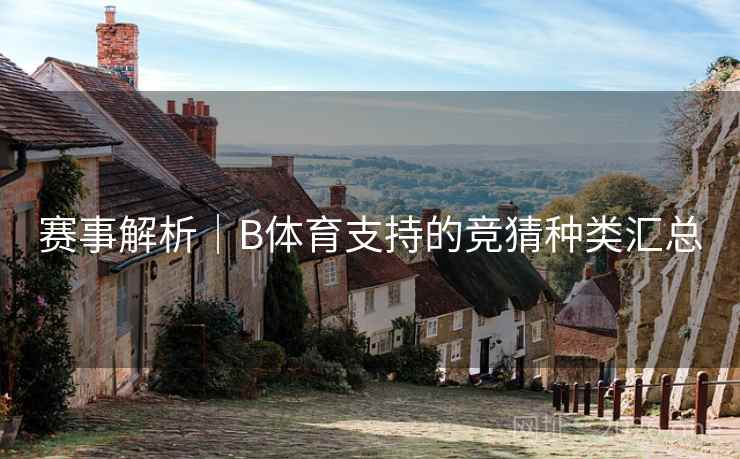 赛事解析｜B体育支持的竞猜种类汇总