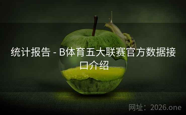 统计报告 - B体育五大联赛官方数据接口介绍