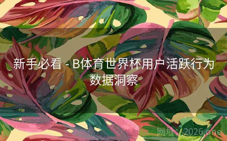 新手必看 - B体育世界杯用户活跃行为数据洞察
