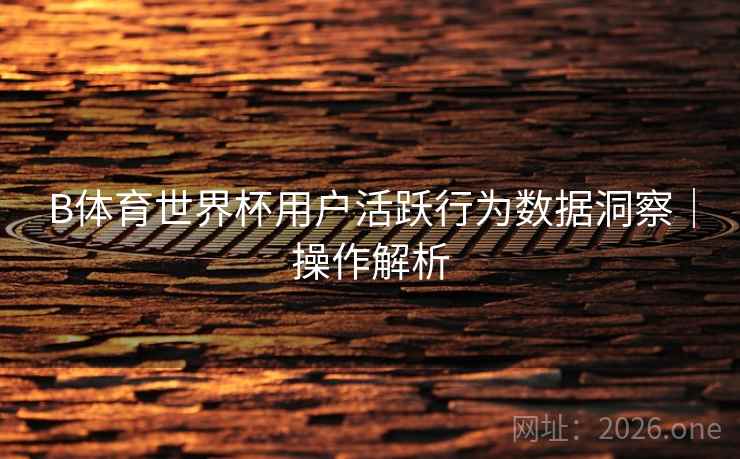B体育世界杯用户活跃行为数据洞察｜操作解析