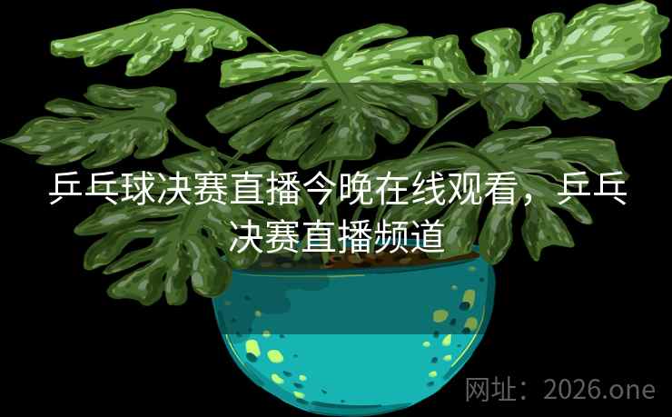 乒乓球决赛直播今晚在线观看，乒乓决赛直播频道