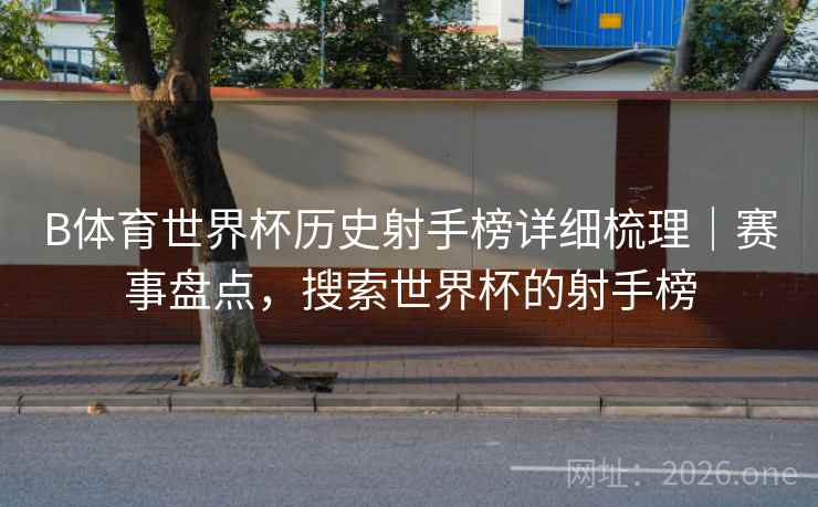 B体育世界杯历史射手榜详细梳理｜赛事盘点，搜索世界杯的射手榜