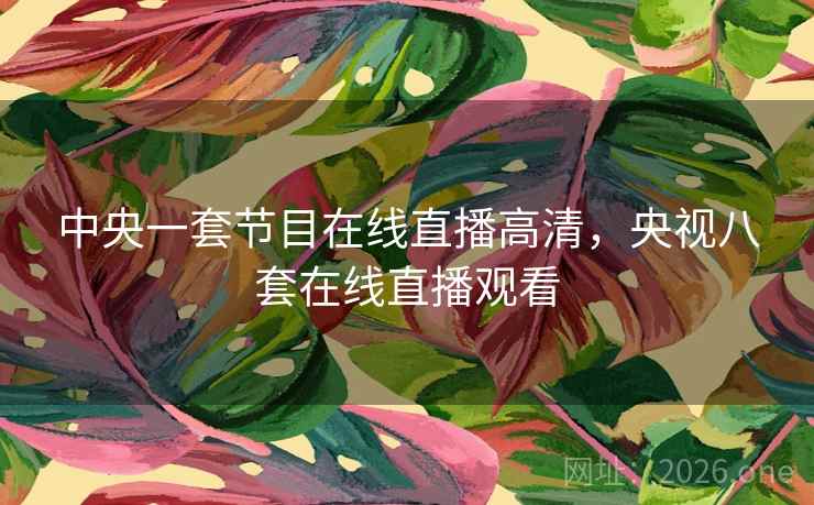 中央一套节目在线直播高清，央视八套在线直播观看