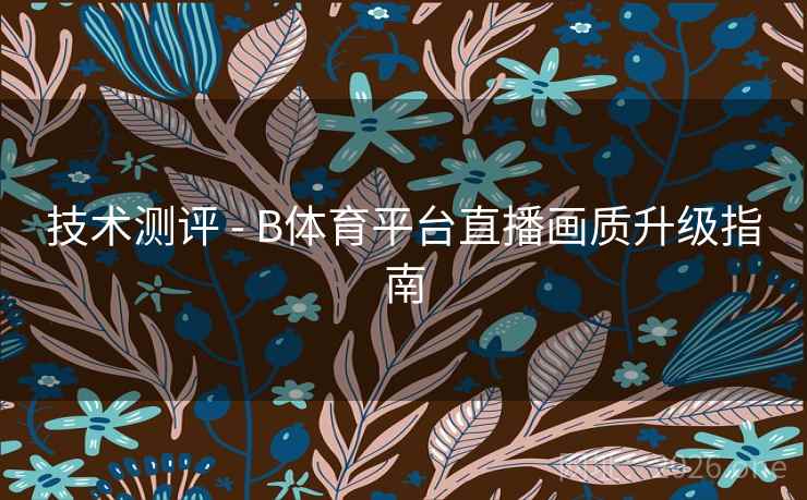 技术测评 - B体育平台直播画质升级指南