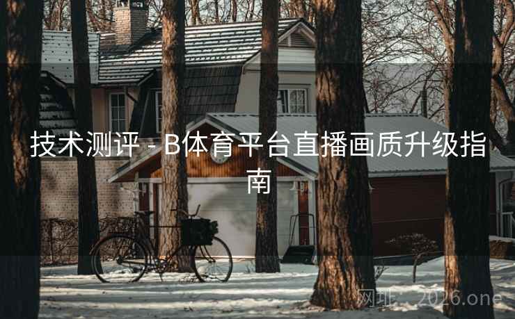 技术测评 - B体育平台直播画质升级指南