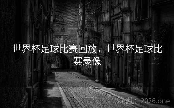 世界杯足球比赛回放，世界杯足球比赛录像