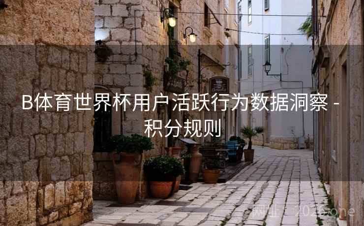 B体育世界杯用户活跃行为数据洞察 - 积分规则