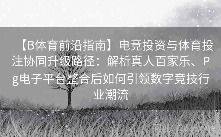 【B体育前沿指南】电竞投资与体育投注协同升级路径：解析真人百家乐、Pg电子平台整合后如何引领数字竞技行业潮流
