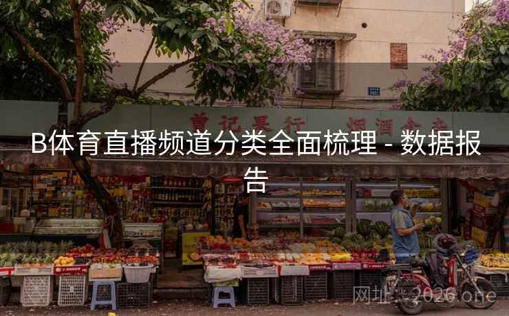 B体育直播频道分类全面梳理 - 数据报告