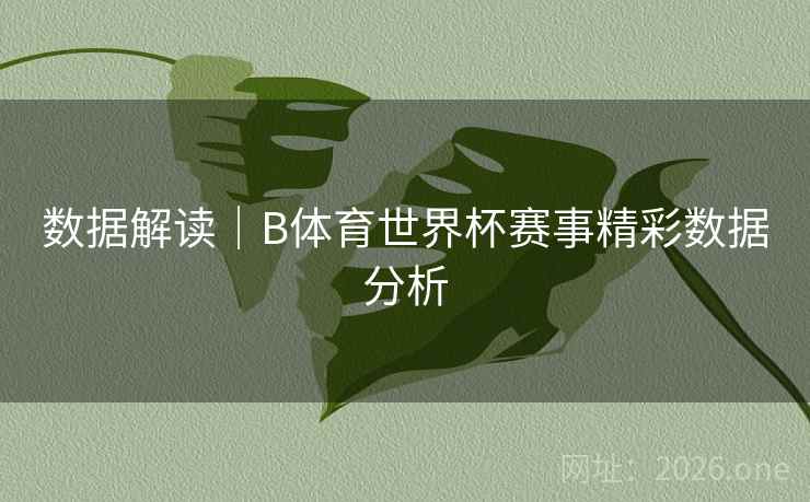 数据解读｜B体育世界杯赛事精彩数据分析
