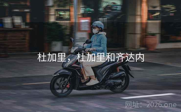 杜加里，杜加里和齐达内