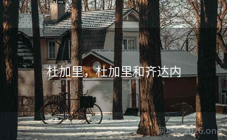 杜加里，杜加里和齐达内