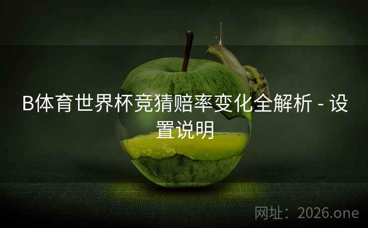 B体育世界杯竞猜赔率变化全解析 - 设置说明