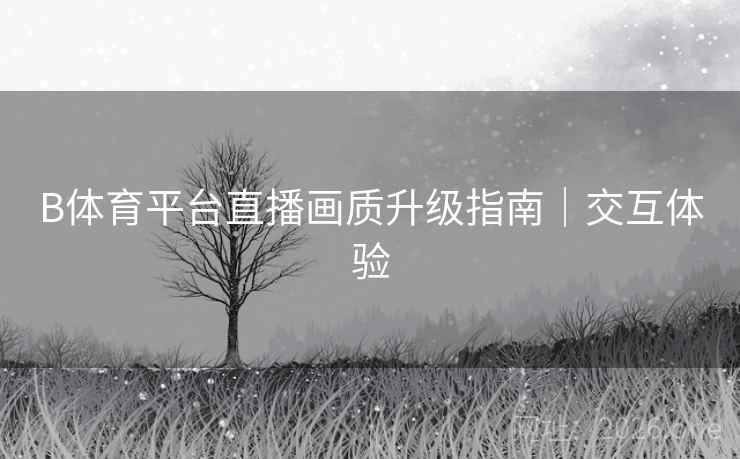 B体育平台直播画质升级指南｜交互体验