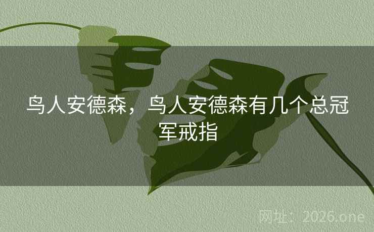 鸟人安德森，鸟人安德森有几个总冠军戒指